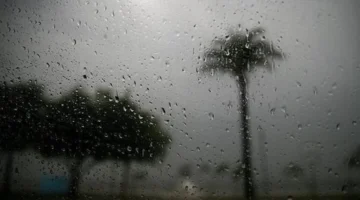 أمطار القاهرة.. تفاصيل حالة الطقس وتوقعات الشبورة المائية على الطرق السريعة اليوم